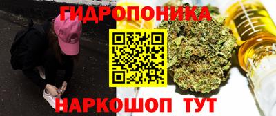 хмурый Гусь-Хрустальный