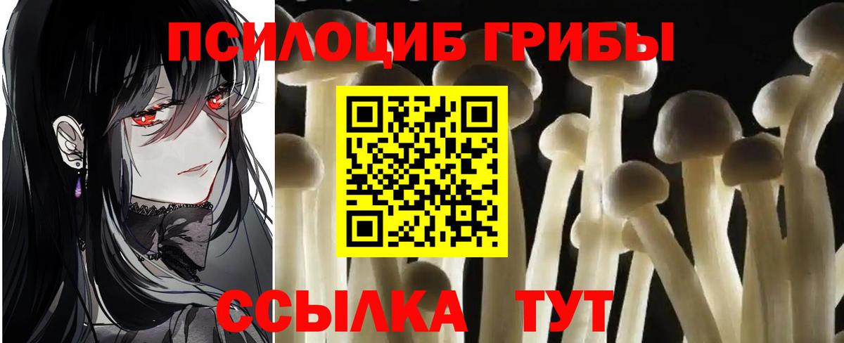 Псилоцибиновые грибы ЛСД Нефтеюганск